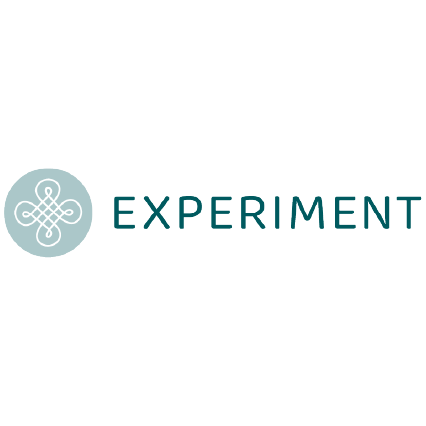 Logo Experiment